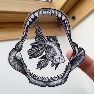 Sticker transparent - StickerApp