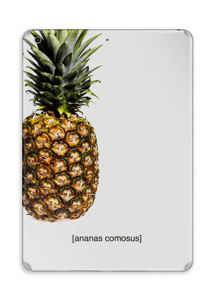 [ananas comosus]  Skin IPad Air