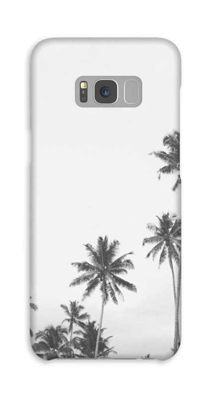 palmiers Coque
