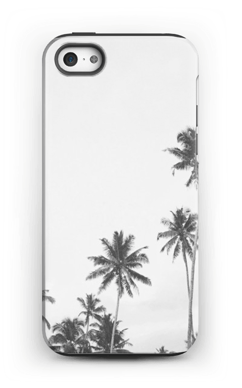 palmiers Coque