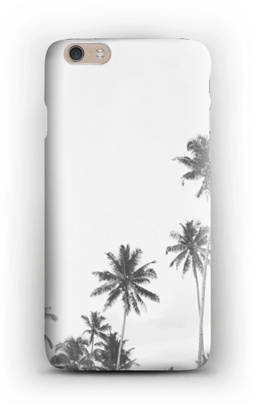 palmiers Coque