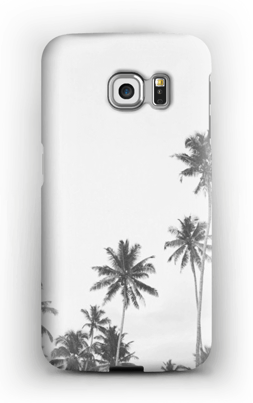 palmiers Coque