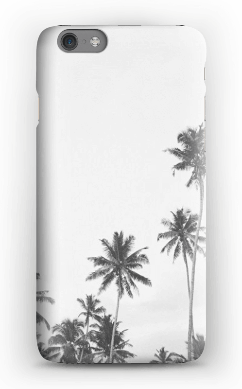 palmiers Coque