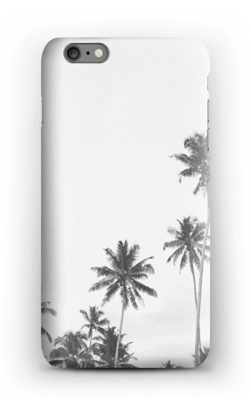 palmiers Coque