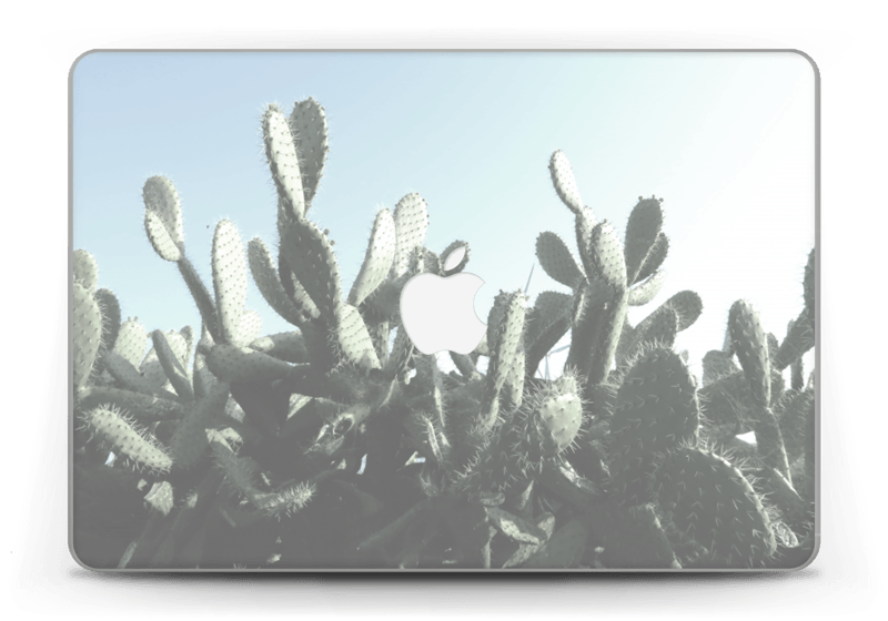 Cactus Skin MacBook Pro Retina 13” 2015