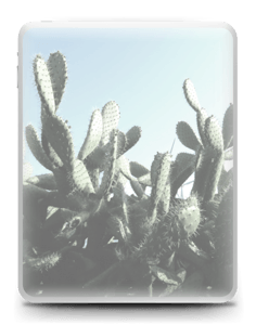 Cacto Skin IPad 1