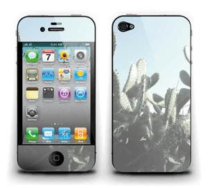 Cacto Skin IPhone 4/4s