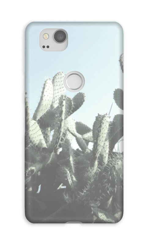 Cactus Coque Pixel 2