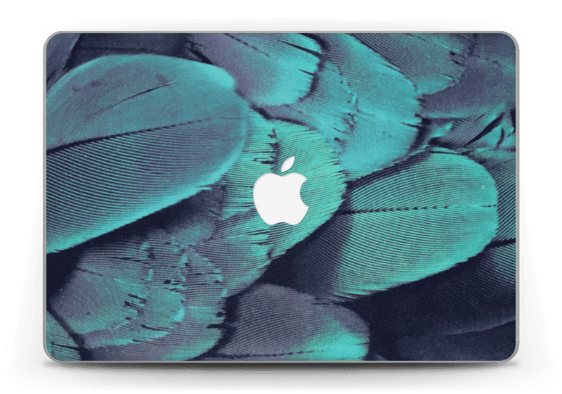 Plumes Skin MacBook Pro Retina 13” 2015