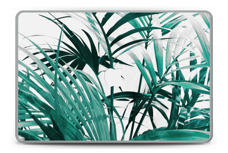 Jungle tropicale Skin MacBook Pro 15” -2015