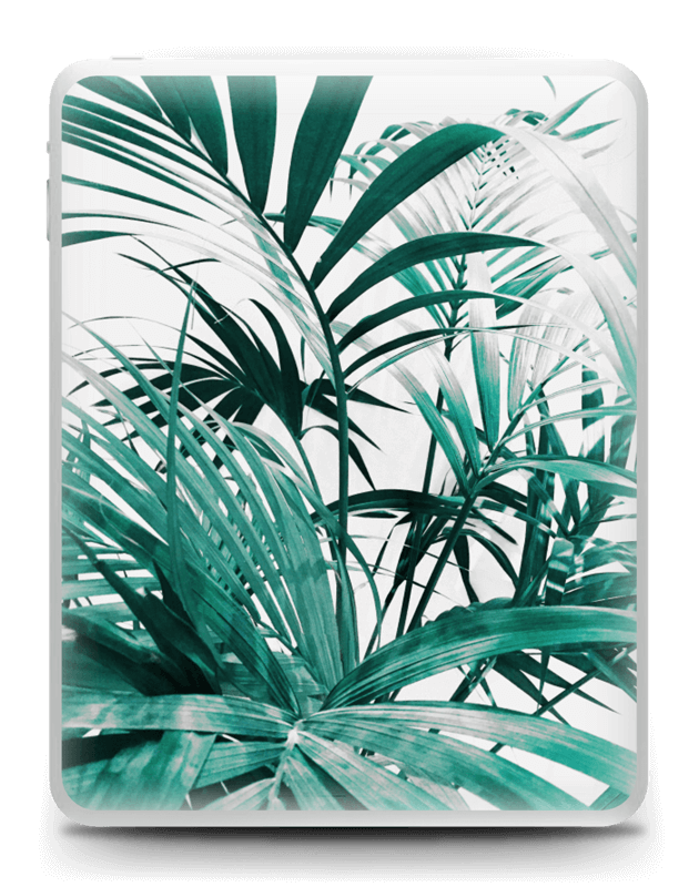 Jungle tropicale Skin IPad 1