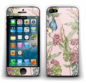 Nature & parrot Skin IPhone 5