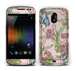 Nature & parrot Skin Nexus