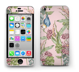 Nature & parrot Skin IPhone 5c