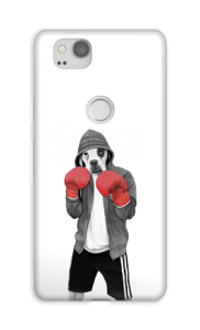 Street boxer skal Pixel 2