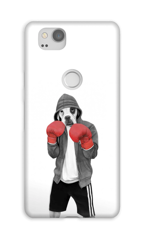Street boxer skal Pixel 2
