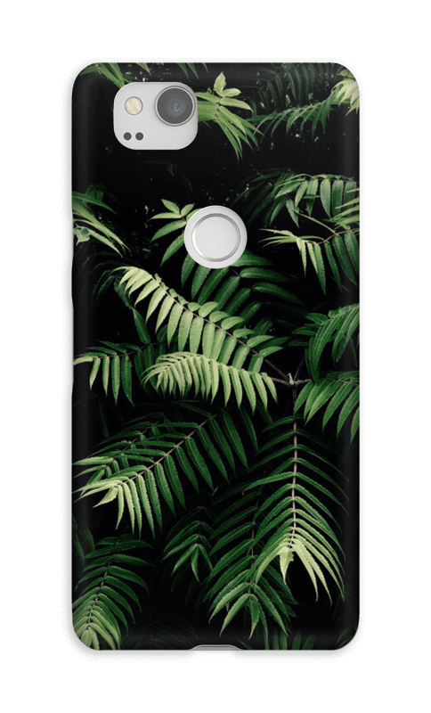 Tropics case Pixel 2