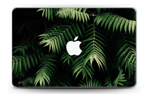 Tropical Skin MacBook Air 11”
