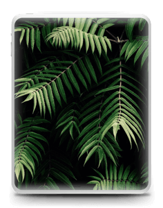 Tropics Skin IPad 1