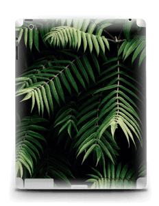 Tropics Skin IPad 4/3/2