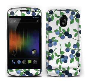 Blueberry forest Skin Nexus