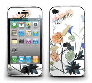 Springtime Skin IPhone 4/4s