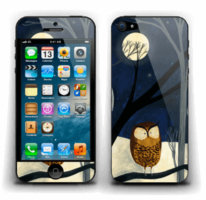 Midnight  Skin IPhone 5