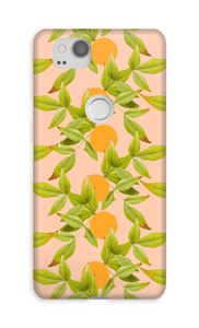 Citrus hoesje Pixel 2