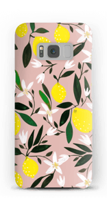 Sitruunat kuoret Galaxy S8