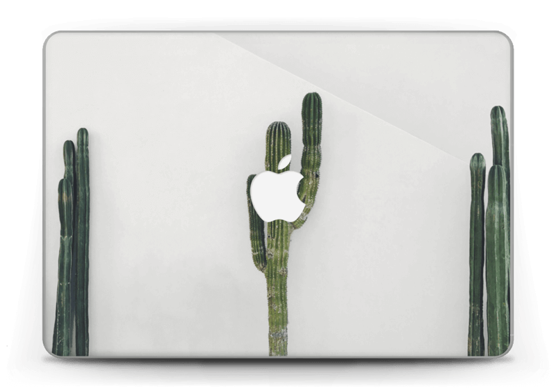 Mexikanischer Kaktus Skin MacBook Pro Retina 13” 2015