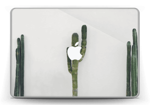 Mexican Cactus Skin MacBook Pro 13” -2015