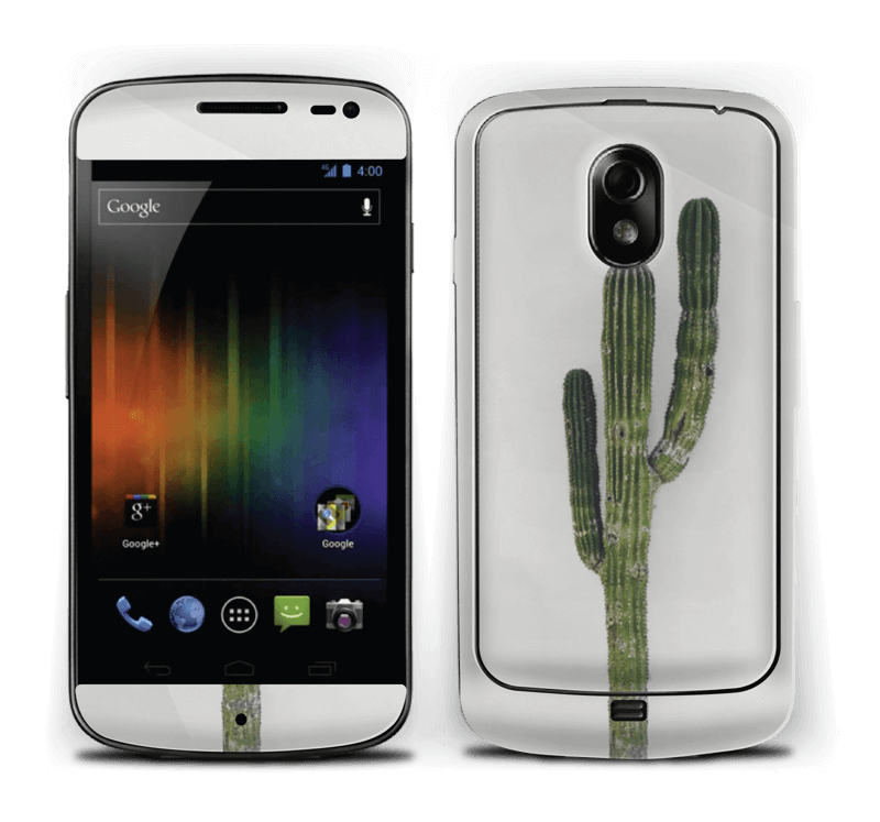 Mexican Cactus Skin Nexus