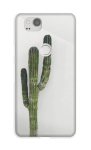 Einsamer Kaktus Handyhülle Pixel 2