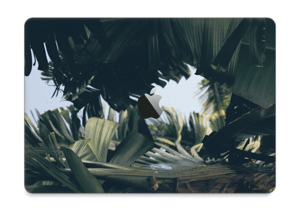 Tropical Leaves Skin MacBook Pro 13” 2016-