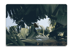 Tropical Leaves Skin MacBook Pro 15” 2016-