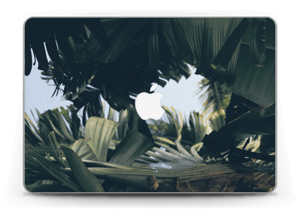 Tropic Leaves Skin MacBook Pro Retina 13” 2015