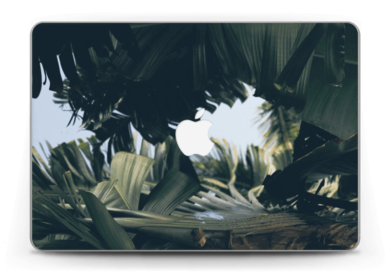 Tropic Leaves Skin MacBook Pro Retina 13” 2015