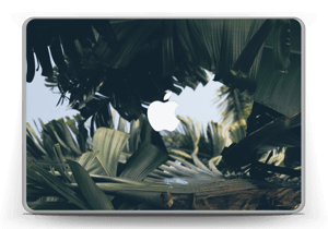 Tropical Leaves Skin MacBook Pro 13” -2015