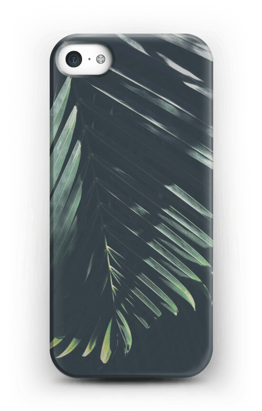 Palmier soleil Coque IPhone 5/5S