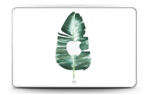 Musa Basjoo  Skin MacBook Air 11”