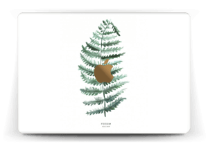 Pteridium Aquilinum  tarrakuori MacBook 12”