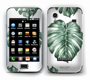 Monstera pattern Skin Galaxy Ace