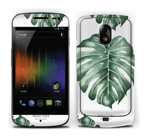 Monstera pattern Skin Nexus