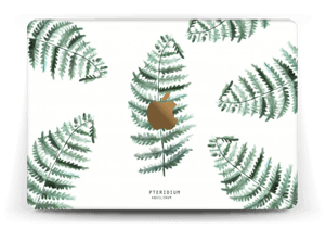 Pteridium Aquilinum   tarrakuori MacBook 12”