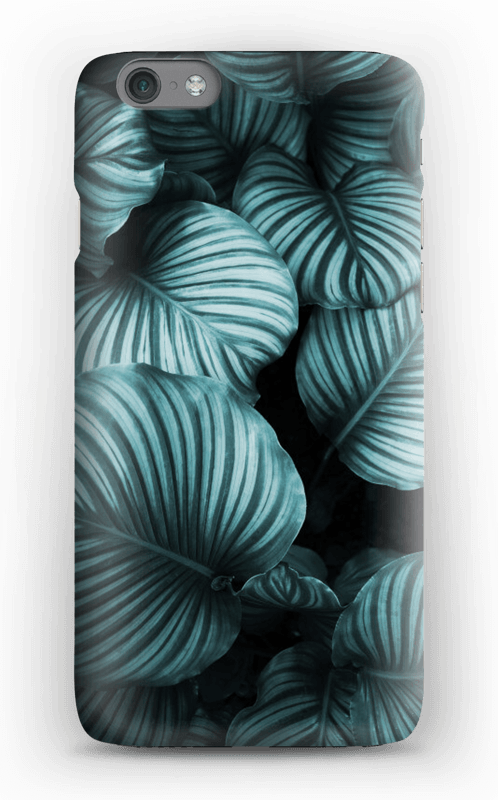 Calathea cover IPhone 6s