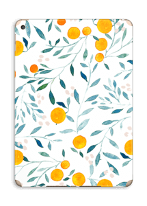 Oranges Skin IPad Air 2