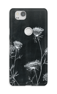 Daucus Carota Coque Pixel 2